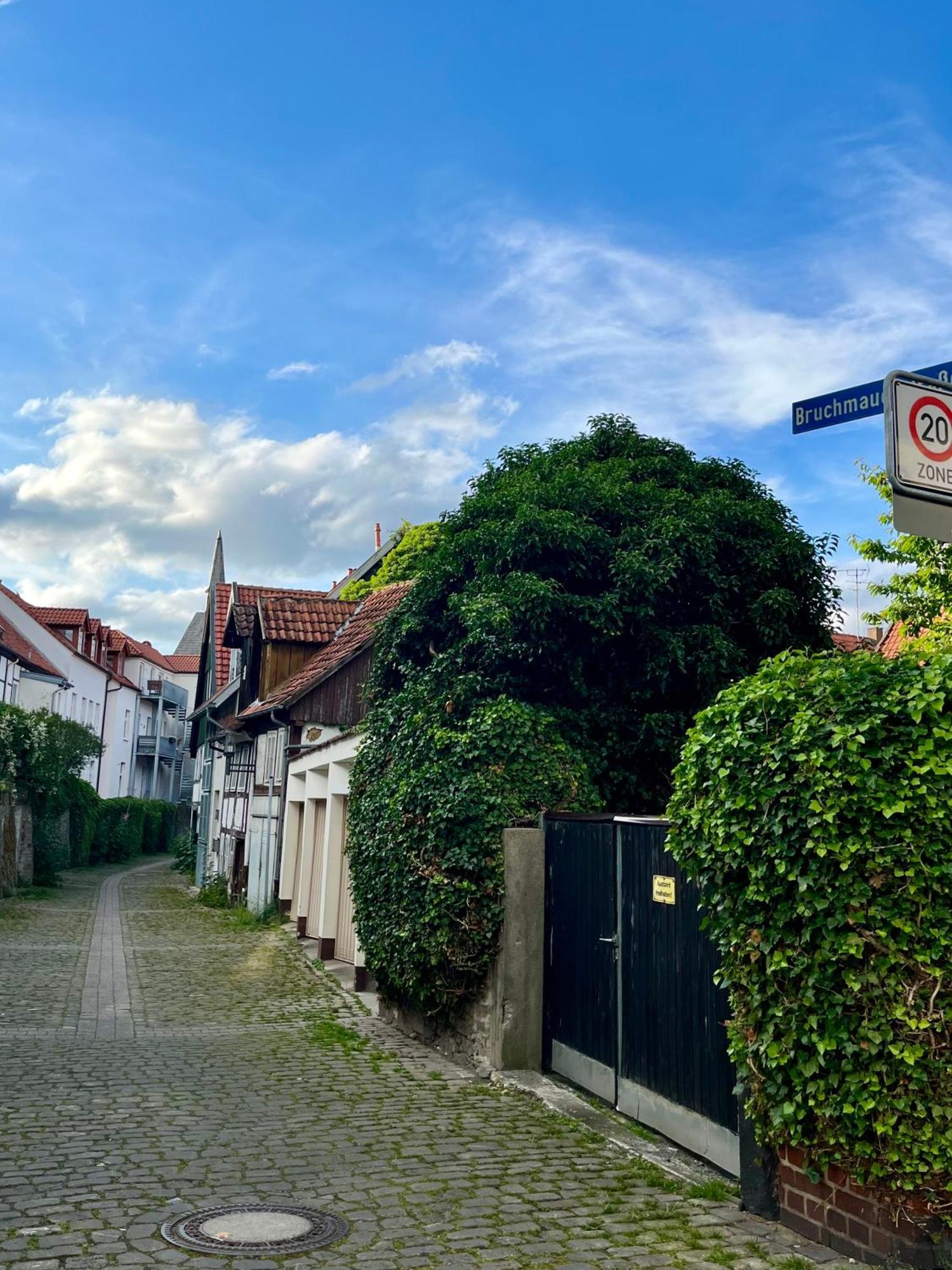 Goldloeckchen - Gemuetliches 80 Qm Apartment Im Herzen Der Detmolder Innenstadt Exteriör bild